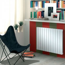 Radiateur chauffage central ACOVA - FASSANE Horizontal double à éléments verticaux 979W HXD-070-081