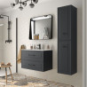 Meuble salle de bain RENOIR 80cm 2 tiroirs ANTHRACITE - Salgar 91310