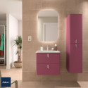 Meuble de salle de bain 2 tiroirs UNIIQ 600 granate - SALGAR 96609