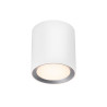 Landon 14Cm, 2700K, Moodmaker, Spot, Blanc, Led - NORDLUX 2110670101 